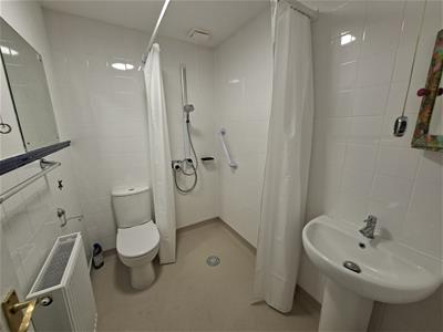 Picture 10